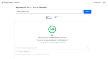 Example | PageSpeed Insights report | SEO website speed report